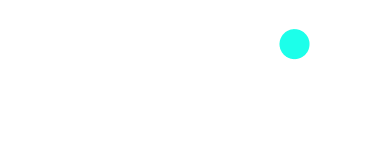 shazin - logo